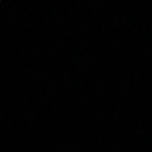 Meet your Posher, Daisy